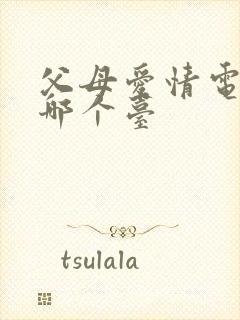 父母爱情电视剧哪个台