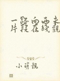 一路向西未删减片段在线观看