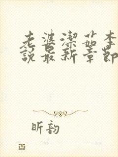 老婆洁茹李志小说最新章节列表