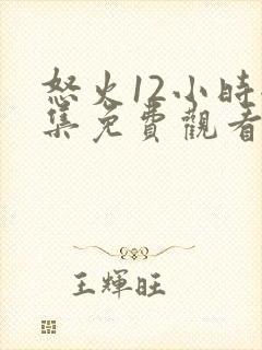 怒火12小时全集免费观看完整版高清