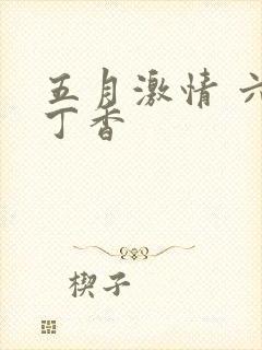 五月激情 六月丁香封面