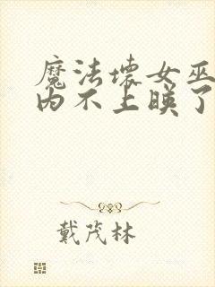 魔法坏女巫2国内不上映了吗封面