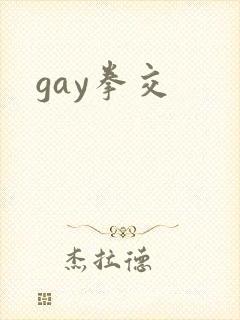 gay拳交