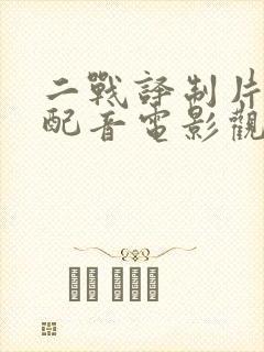 二战译制片国语配音电影观看