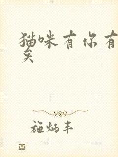 猫咪有你有我足矣