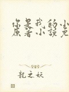 你是我的小确幸原著小说免费阅读