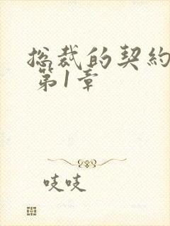 总裁的契约蛮妻 第1章