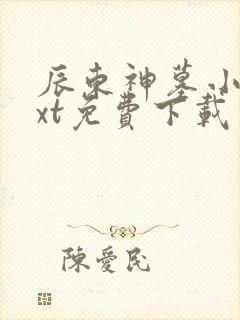 辰东神墓小说txt免费下载封面