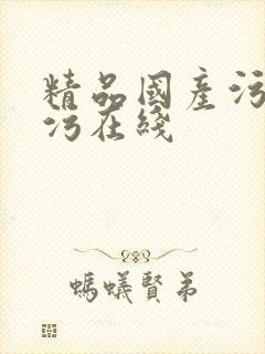 精品国产污网站污在线