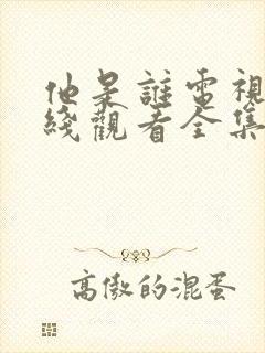 他是谁电视剧在线观看全集免费播放