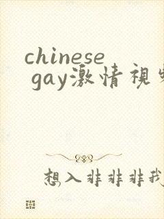 chinese gay激情视频