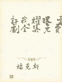 许我耀眼 电视剧全集免费观看