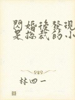 闪婚后发现老公是总裁的小说