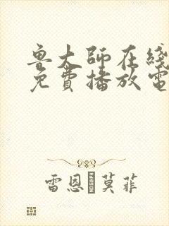 鲁大师在线观看免费播放电视剧安全