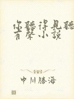 你听得见听书网有声小说封面