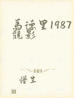 马德里1987观影
