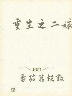 重生之二嫁前夫封面