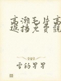 高潮毛片高清无遮挡免费观看