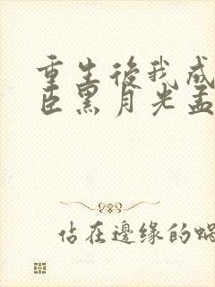 重生后我成了权臣黑月光孟芊芊