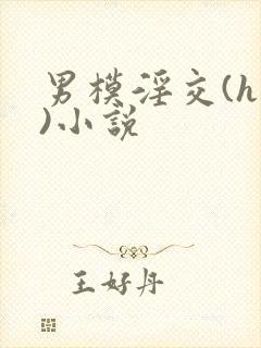 男模淫交(h高)小说