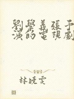 刘学义张予曦主演的电视剧