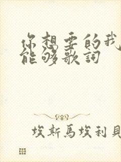 你想要的我却不能够歌词