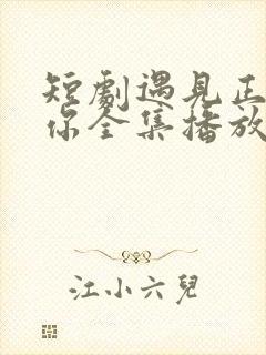 短剧遇见正确的你全集播放