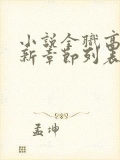 小说全职高手最新章节列表列表