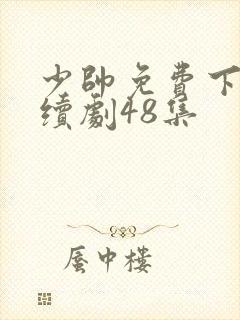 少帅免费下载连续剧48集