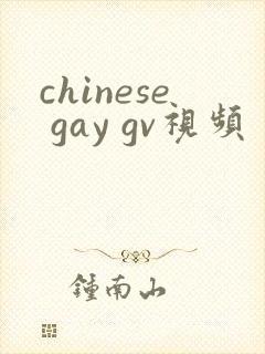 chinese gay gv视频封面