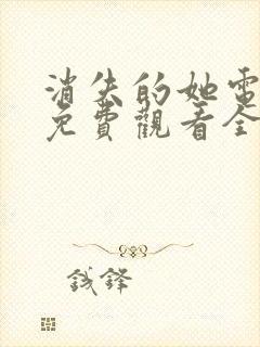 消失的她电视剧免费观看全集完整封面