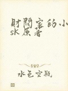 财阀家的小儿子sk原著