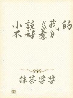 小说《我的医妃不好惹》