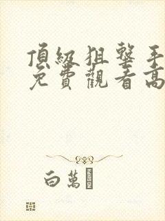 顶级狙击手电影免费观看高清版