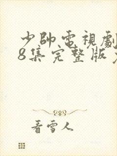 少帅电视剧第48集完整版免费