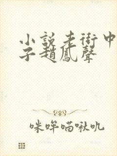 小说老街中的痞子赵凤声