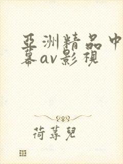 亚洲精品中文字幕av影视