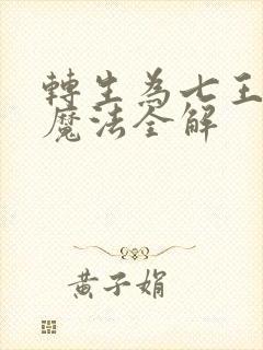 转生为七王子的魔法全解