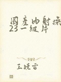 国产内射操日123一级片