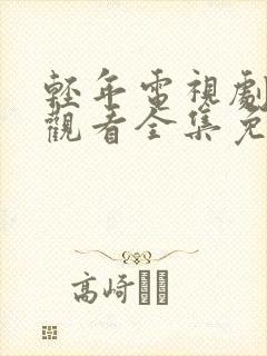 轻年电视剧在线观看全集免费星辰