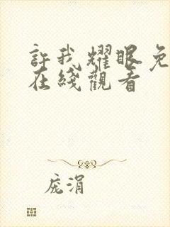 许我耀眼免费看在线观看