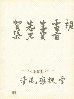 贺先生电视剧全集免费看封面