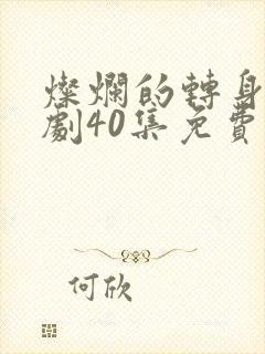 灿烂的转身电视剧40集免费观看高清封面