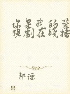 你是我的荣耀电视剧在线播放免费观