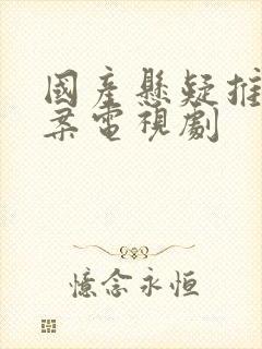 国产悬疑推理破案电视剧