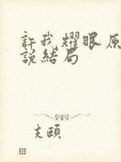 许我耀眼原著小说结局