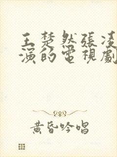 王楚然张凌赫主演的电视剧开播了吗