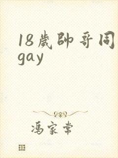 18岁帅哥同志gay
