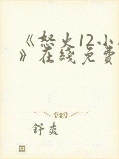 《怒火12小时》在线免费观看