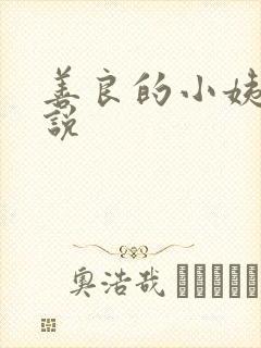 善良的小姨子小说